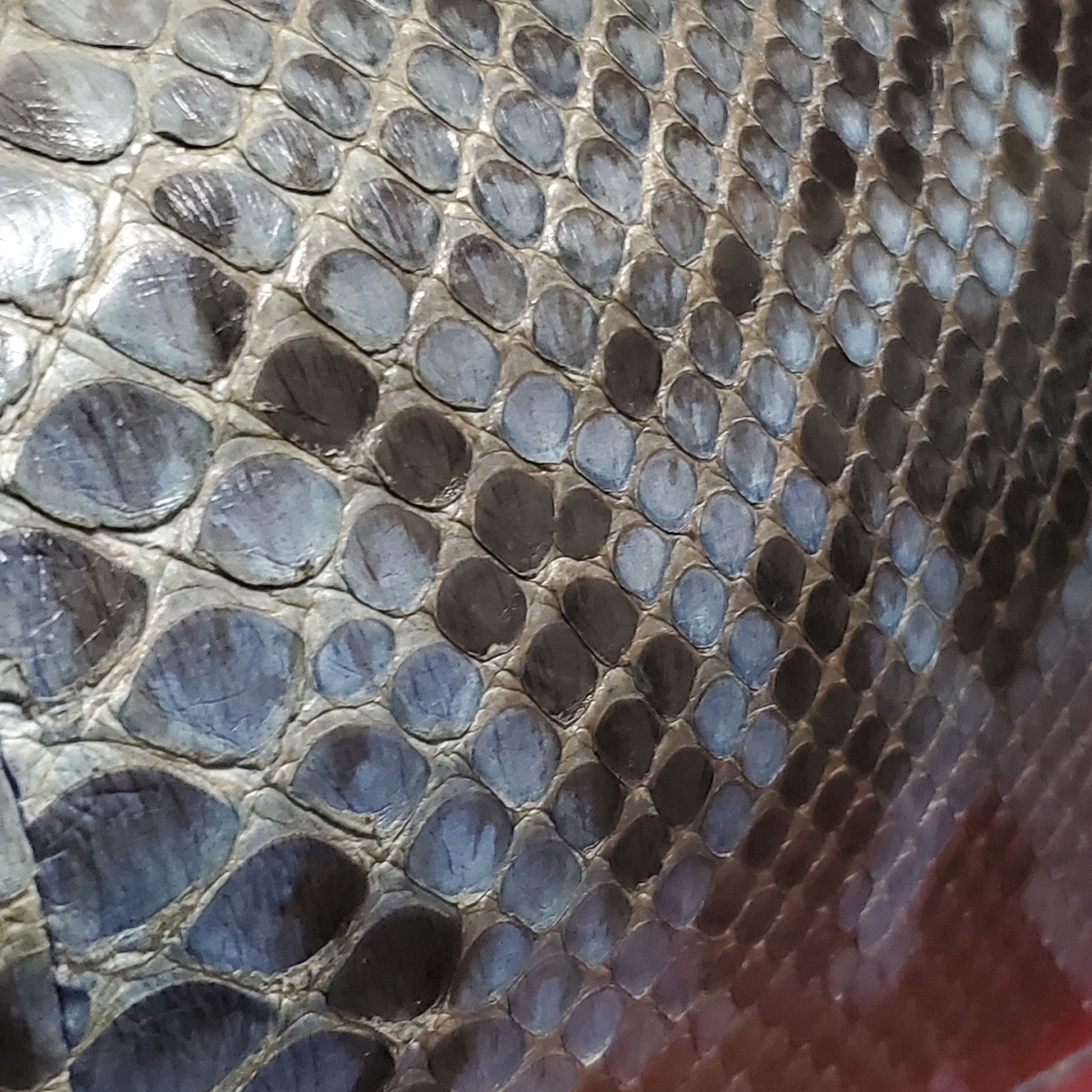 Authentic Gucci Blue Python Craft Tote - image 5